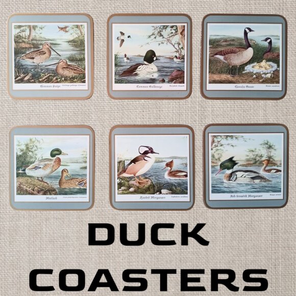 NIB PIMPERNEL DUCK THEME TABLETOP COASTERS 4"X4" - Picture 1 of 7
